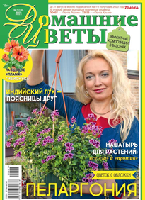 Домашние Цветы