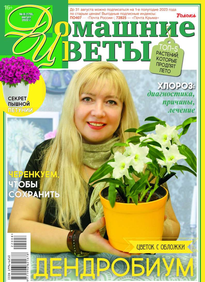 Домашние Цветы