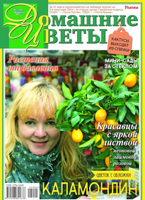 Домашние Цветы