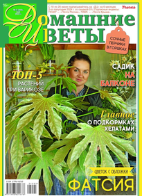 Домашние Цветы