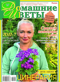 Домашние Цветы