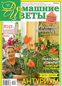 Домашние Цветы