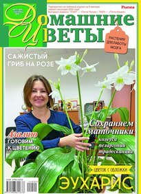 Домашние Цветы