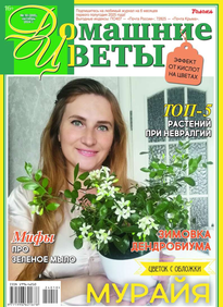 Домашние Цветы