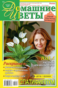 Домашние Цветы