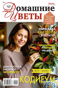 Домашние Цветы