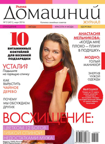 Домашний Журнал