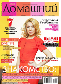 Домашний Журнал