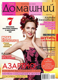 Домашний Журнал