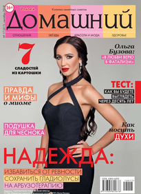 Домашний Журнал