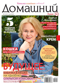 Домашний Журнал