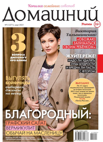 Домашний Журнал