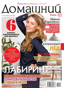 Домашний Журнал