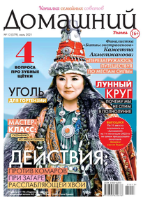 Домашний Журнал