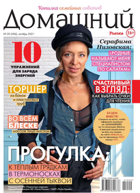 Домашний Журнал