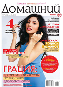 Домашний Журнал