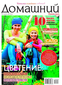 Домашний Журнал