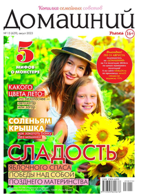 Домашний Журнал