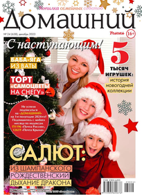 Домашний Журнал