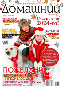 Домашний Журнал