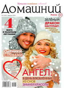 Домашний Журнал