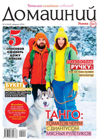 Домашний Журнал