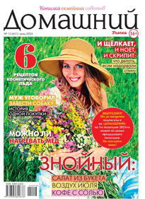 Домашний Журнал