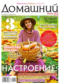 Домашний Журнал