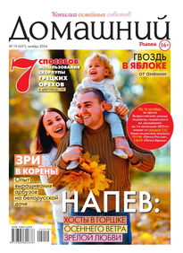 Домашний Журнал