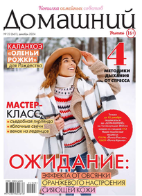 Домашний Журнал