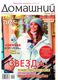 Домашний Журнал