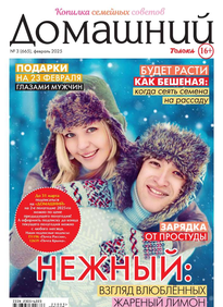 Домашний Журнал