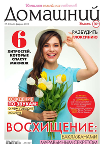 Домашний Журнал