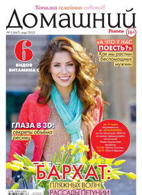 Домашний Журнал