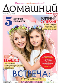 Домашний Журнал