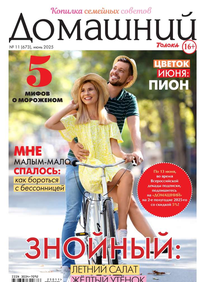 Домашний Журнал