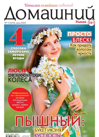 Домашний Журнал