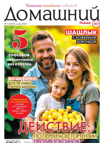 Домашний Журнал