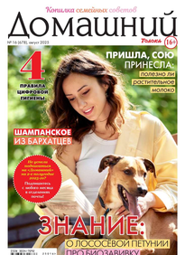 Домашний Журнал