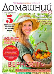 Домашний Журнал