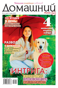 Домашний Журнал