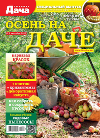 Любимая Дача. Спецвыпуск