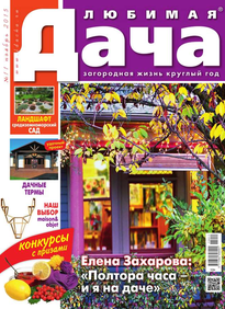 Любимая Дача