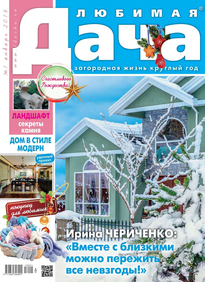 Любимая Дача