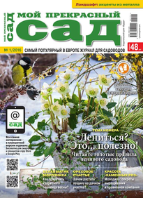 Мой Прекрасный Сад