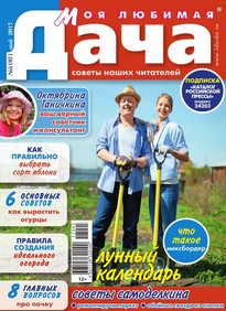 Моя Любимая Дача