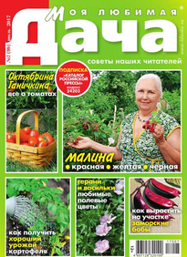 Моя Любимая Дача