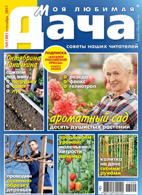 Моя Любимая Дача