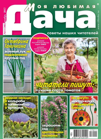 Моя Любимая Дача