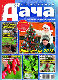 Моя Любимая Дача